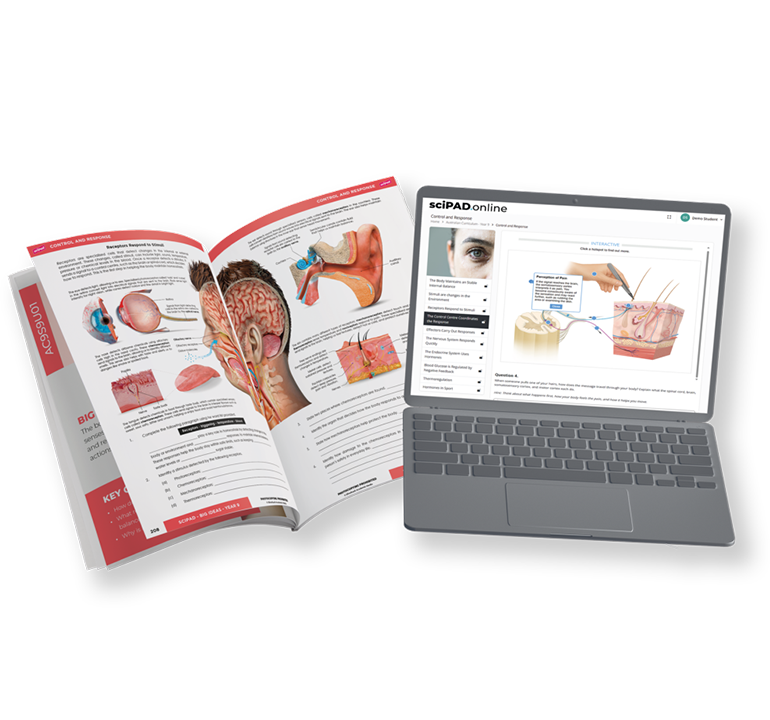sciPAD Online lessons on a laptop